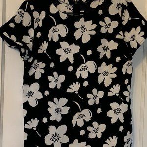 Ann Taylor Blouse